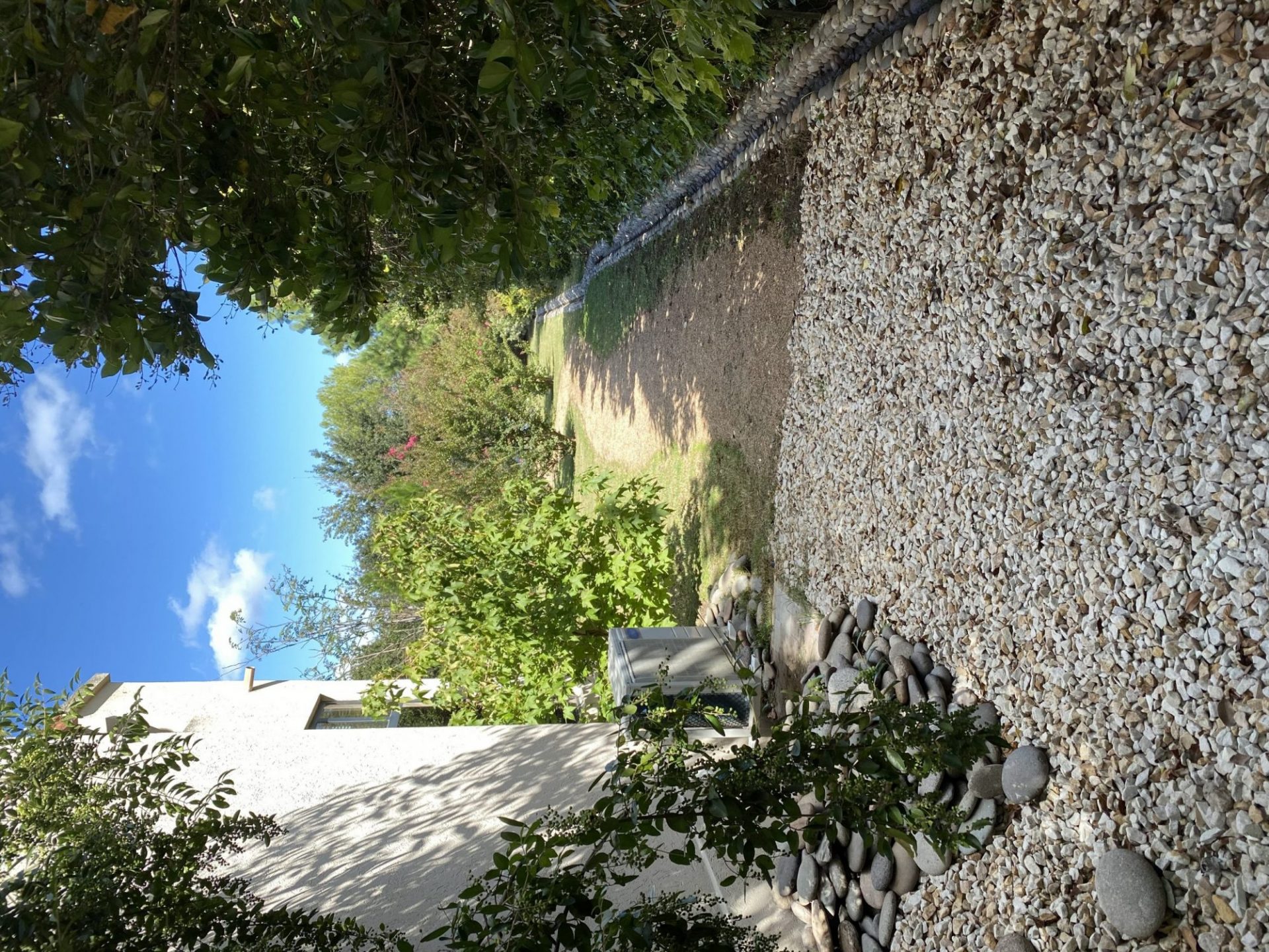 IMG-1910.jpg