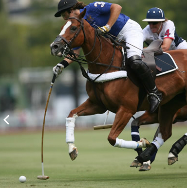 Screen-Shot-2021-03-06-at-7.32.23-PM-3.jpg