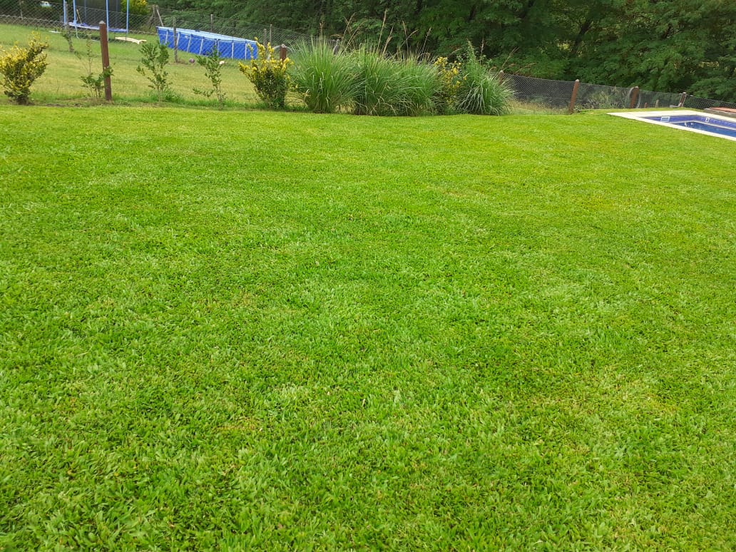 6IMG-20220725-WA0049.jpg