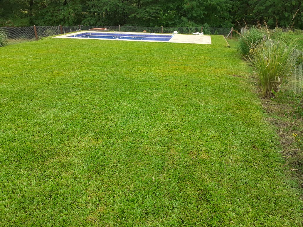 6IMG-20220725-WA0050.jpg