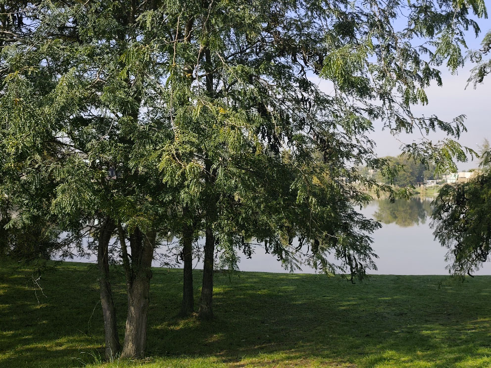 IMG_20250424_102956.jpg