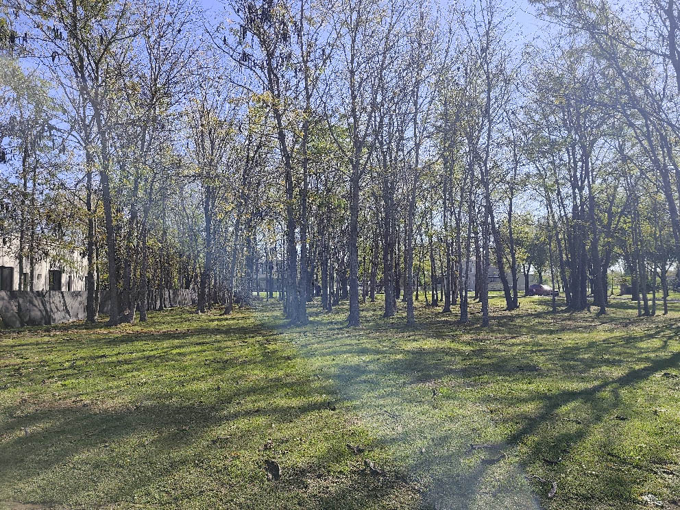 IMG_20250509_132330.jpg