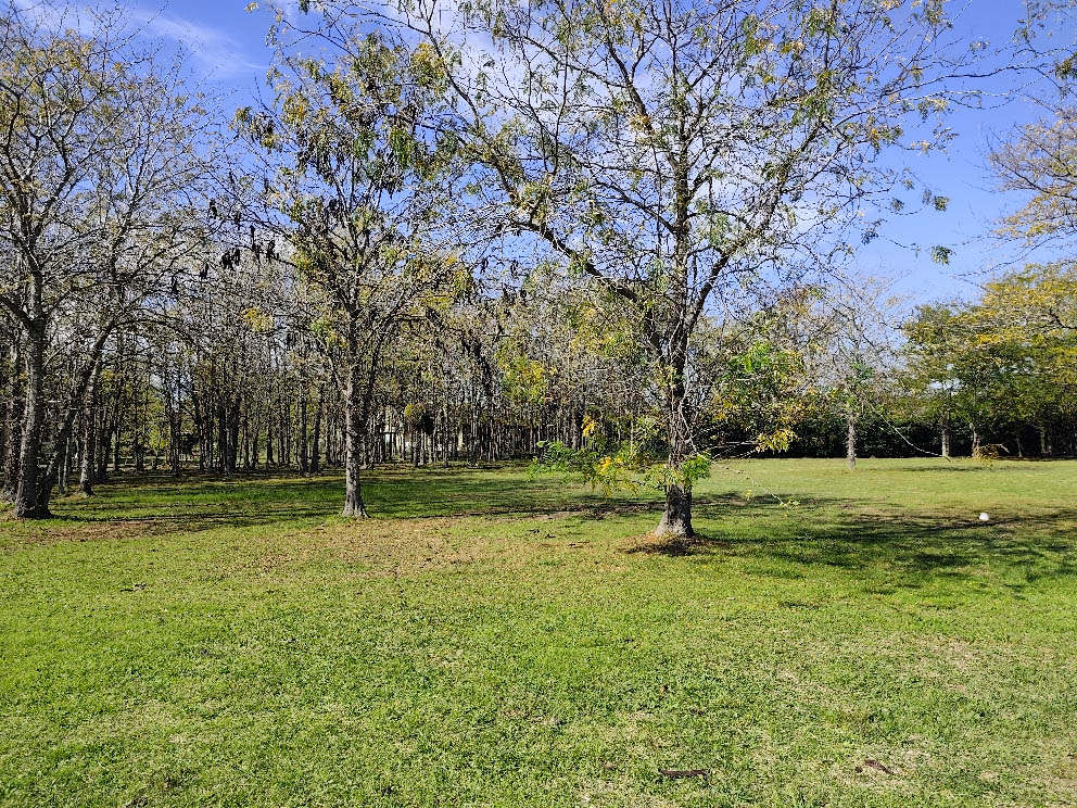 IMG_20250509_132558.jpg
