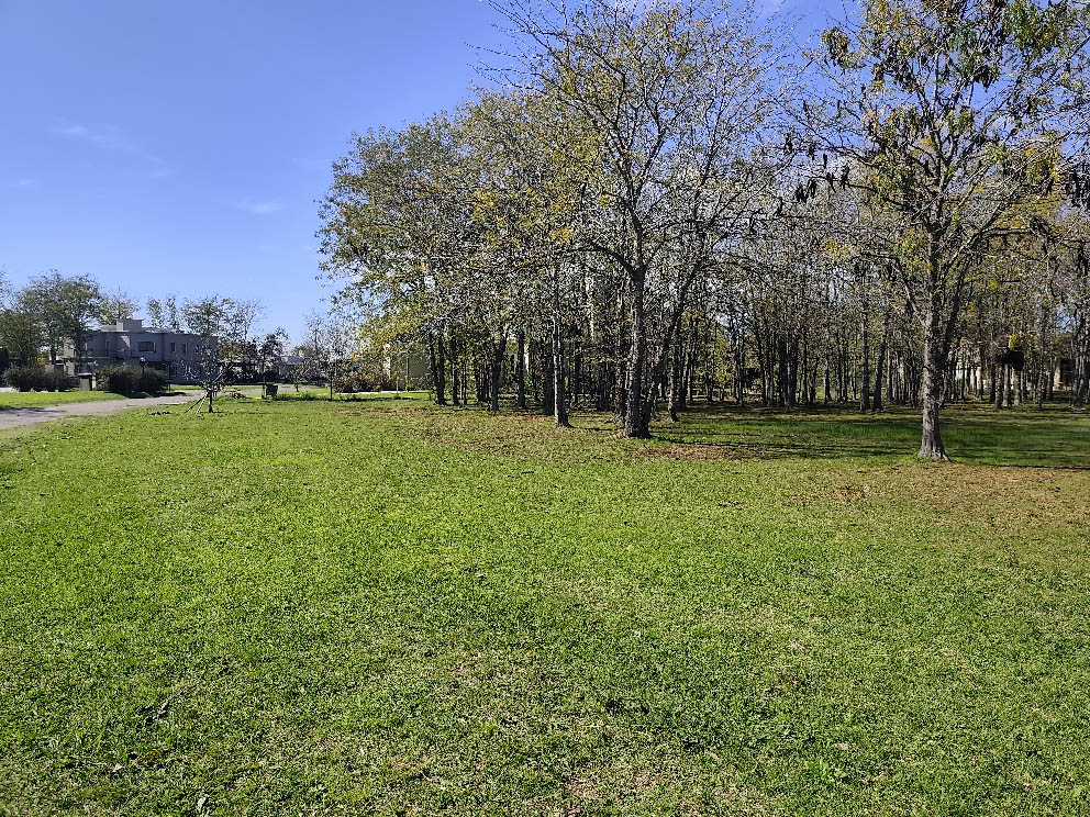 IMG_20250509_132602.jpg