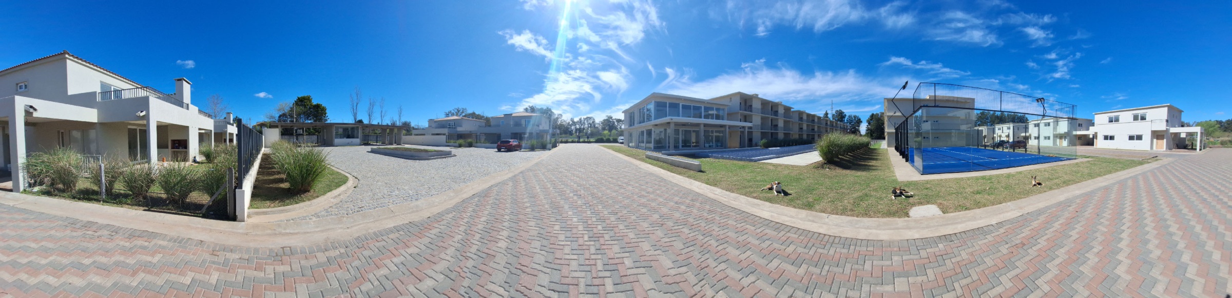 7a20250904-142948.jpg